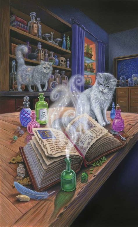 Cursed kitty witchcraft abracadabra